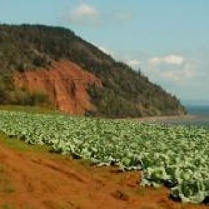Annapolis Valley, hiking at Cape Blomidon
