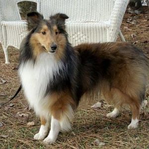 Steven at 12 months old