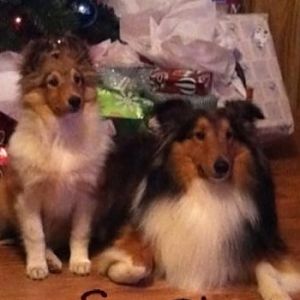 Wilson and Steven