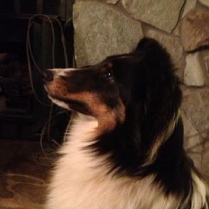 Leeway's Boudreaux Classic Joe