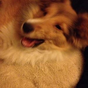 IMG 0500