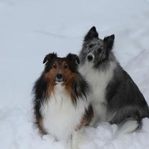 Abby & Carter