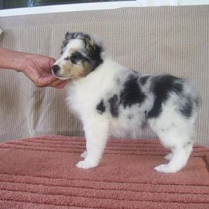 Our Dori as a baby