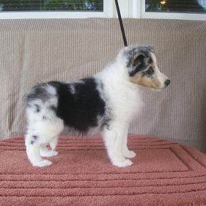 Our Dori as a baby