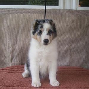 Our Dori as a baby