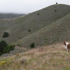 Hiking
