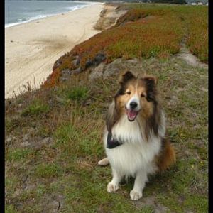Half Moon Bay