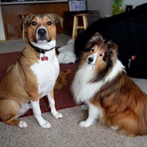Chase and Angel