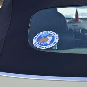 My Sheltie Nation sticker!