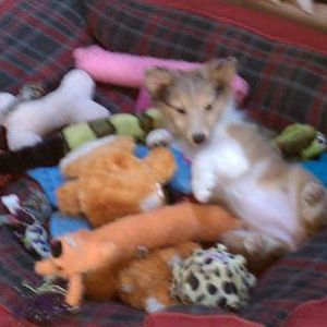 OMG! This is more fun than a ball pit!