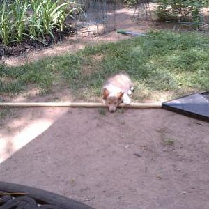 Yard work is exhausting!