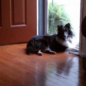 Logan sunning himself