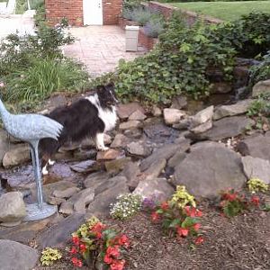 Logan in the pond