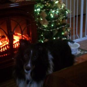 Logan's 2nd Christmas