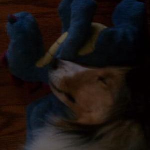 I Luv Mr. Dino