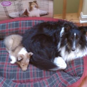 Holly and Logan - Their 1st day together