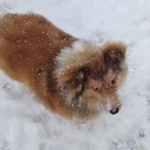 Cooper in Boston blizzard Jan 2013 @ age 5 months