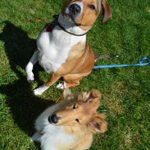 Chase and Annabelle