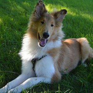 5 months old!