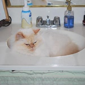 Duncan