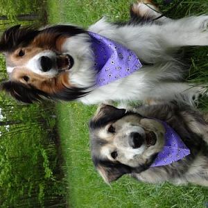 Misty and Meggie