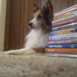 Read any good books lately?