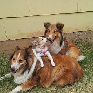 Baby Dixie loves her boys!