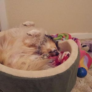 Really Ida, that CAN'T be comfortable!
