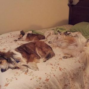 I guess I'm sleeping on the floor tonight!