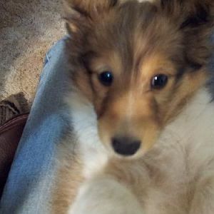 Sweet little Ida