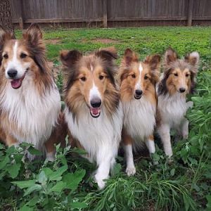 (L to R) F-kap, Jody, Sarah, Ida