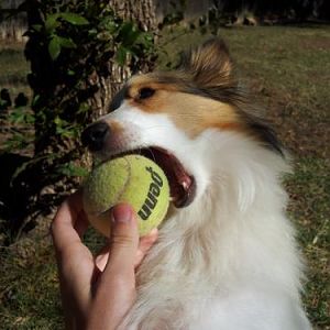Time to play ball!!!