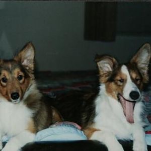 Nakota & Cheyenne