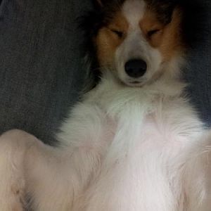 Nothings better than a long nap in Mommy's lap