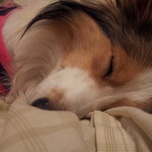My little angel