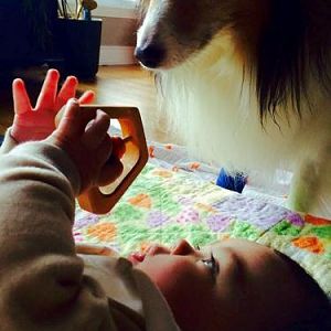 Indie and baby brother