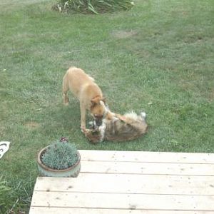 Play time!
