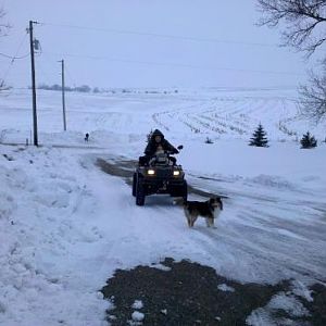 Daily exercise for one, ride for the other.