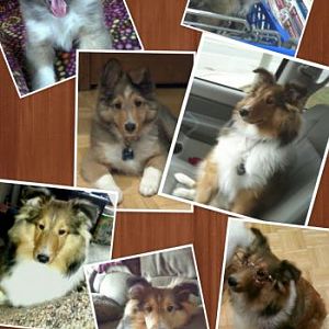 PhotoGrid 1387306950542