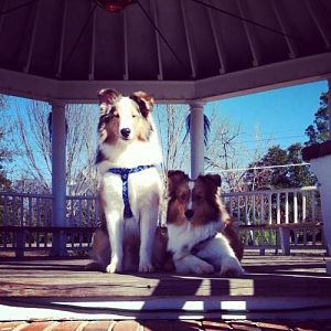 We love the park