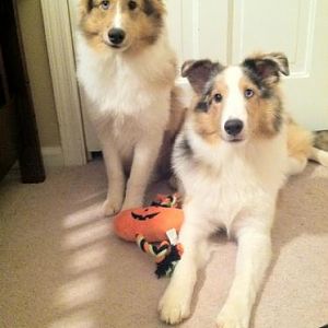 Sweet boys at 6months