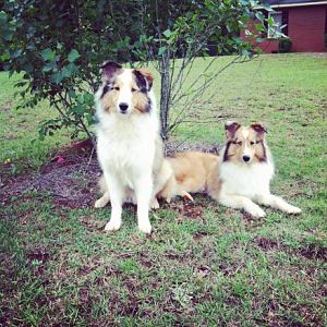 Cooper and Carter