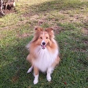 Honey, 15 months