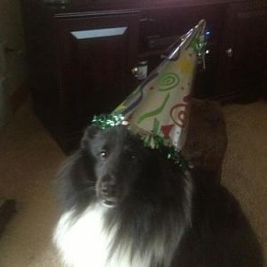Not so Happy 2nd Birthday- the cone hat for this year's picture did not go over so well.