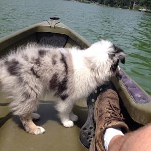 image  water boy in the boat