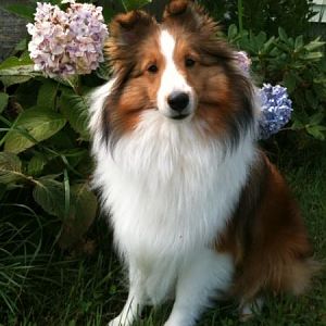 Ruffles 
11 Months