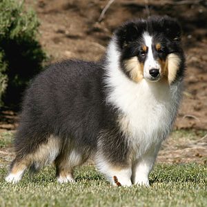 Echo 10 Months