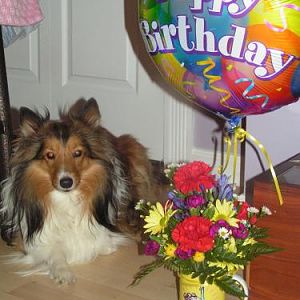 Petie's 2nd Birthday :)