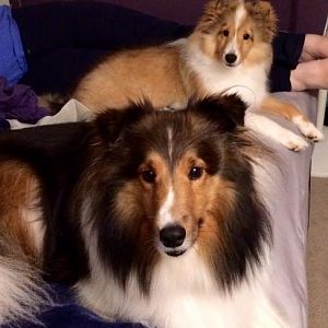 Riley and McGee