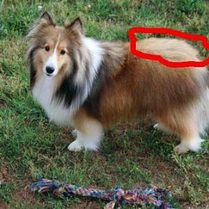 Red line area is bad hair